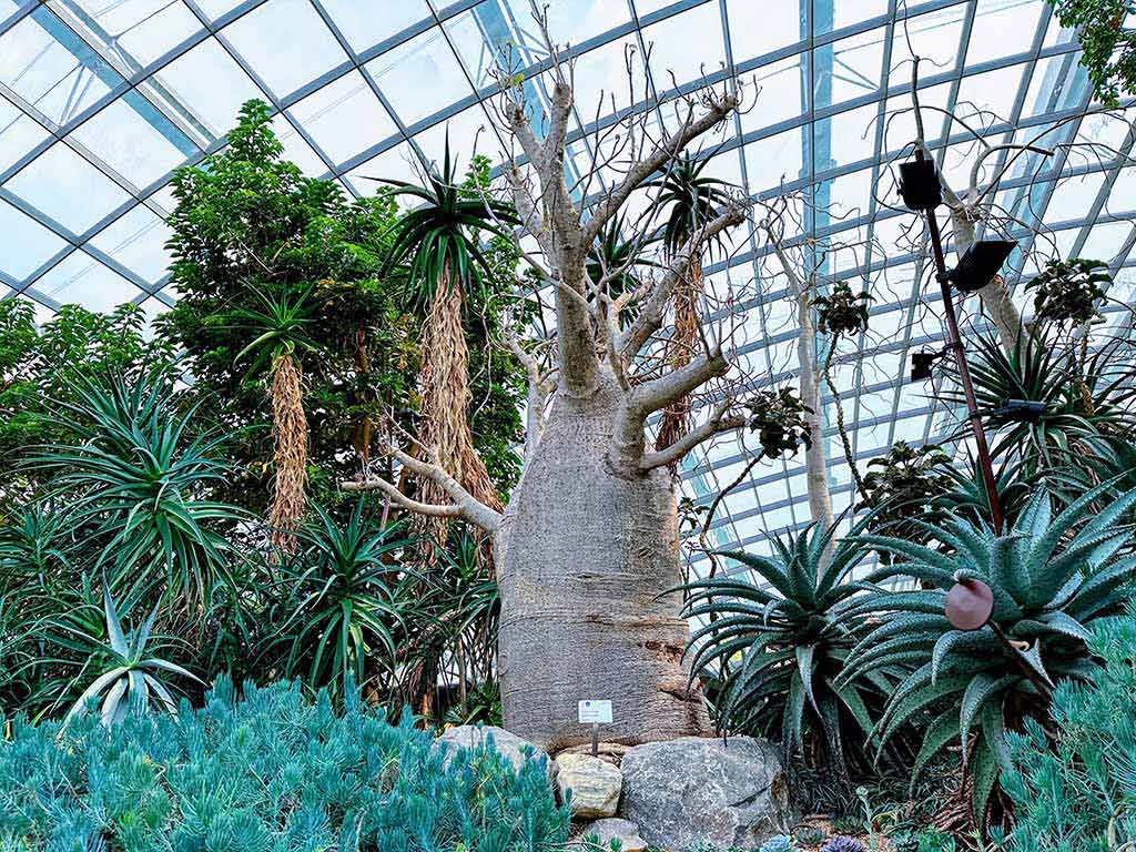花穹 Flower Dome
