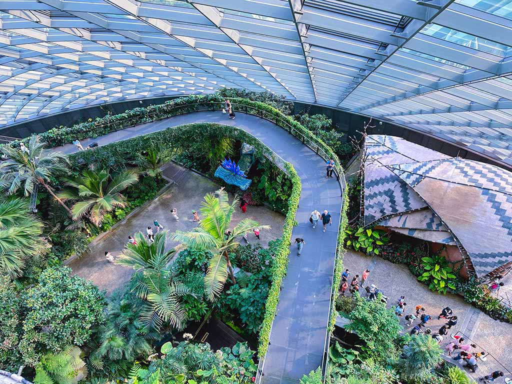 雲霧林 Cloud Forest