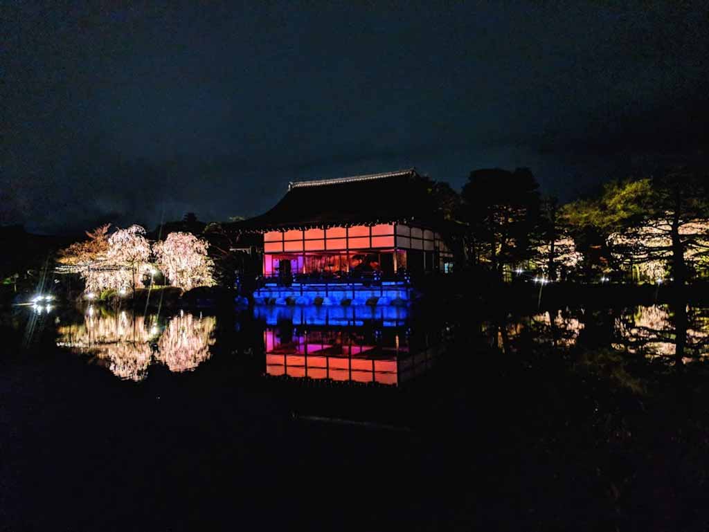 京都賞櫻景點
