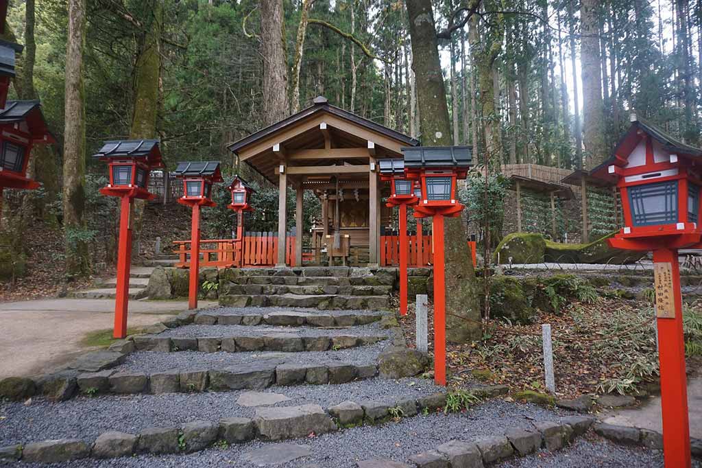 京都賞楓
