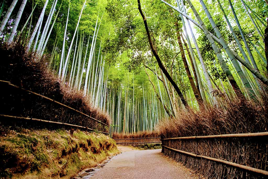 嵐山