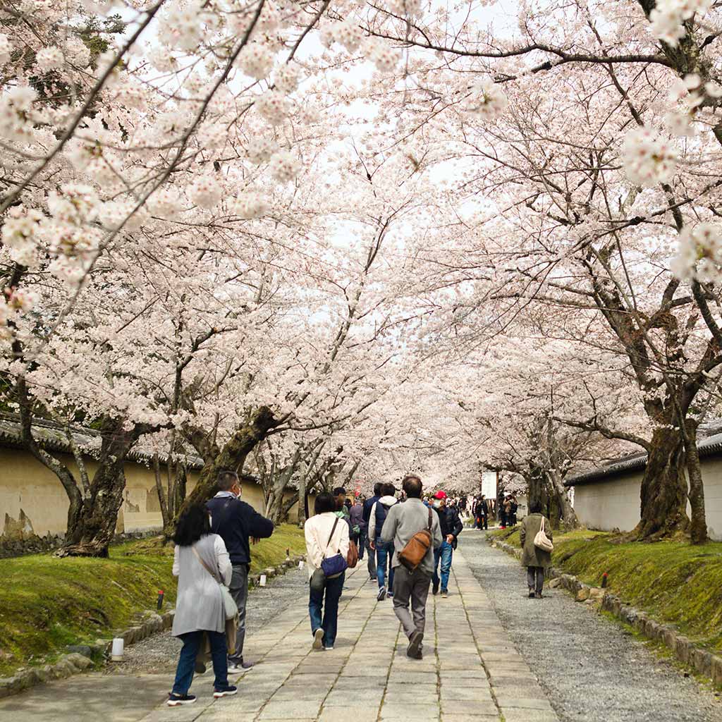 醍醐寺