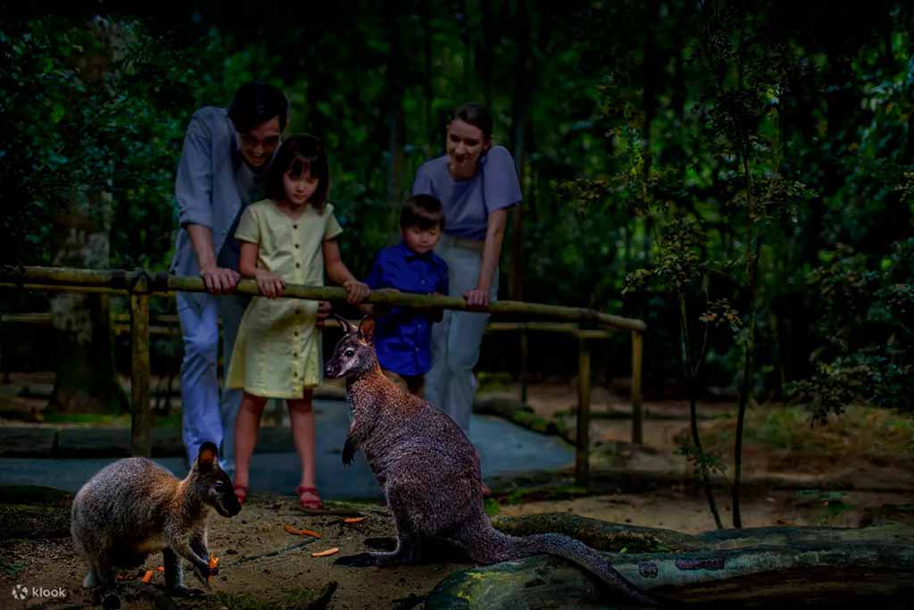 新加坡夜間動物園