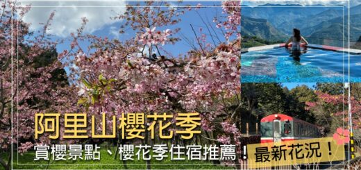 阿里山櫻花季