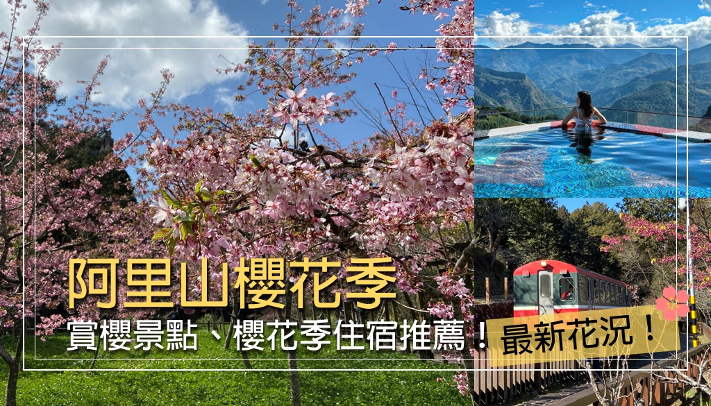阿里山櫻花季