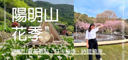 陽明山花季