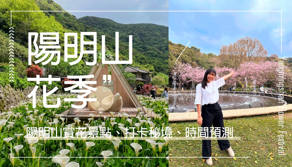陽明山花季