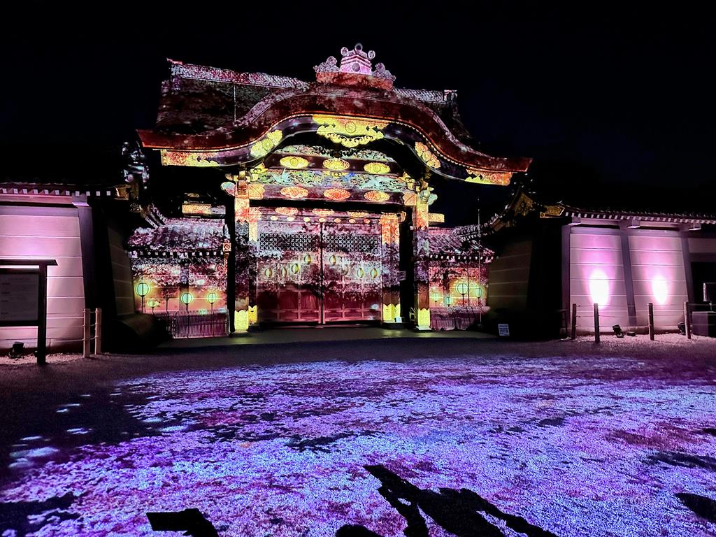 京都櫻花光雕秀-二條城