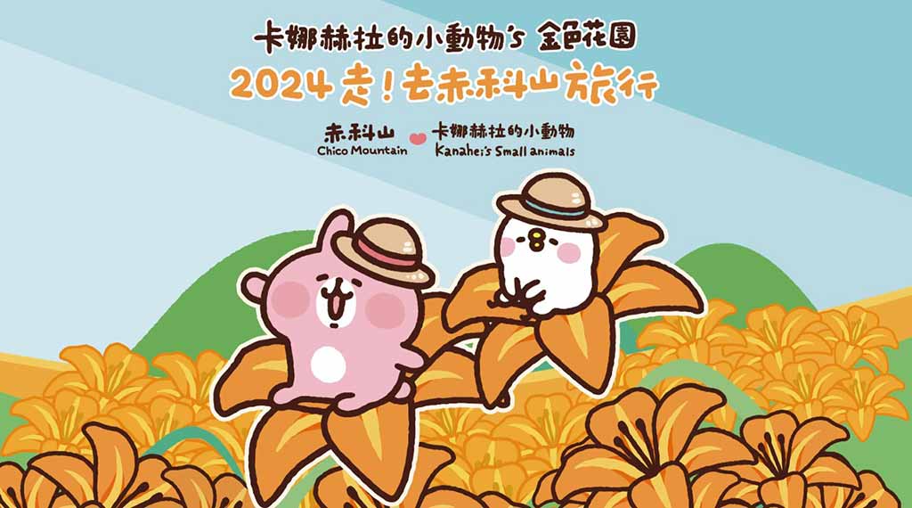 赤科山金針花
