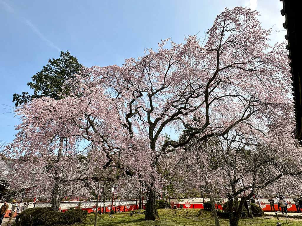 醍醐寺