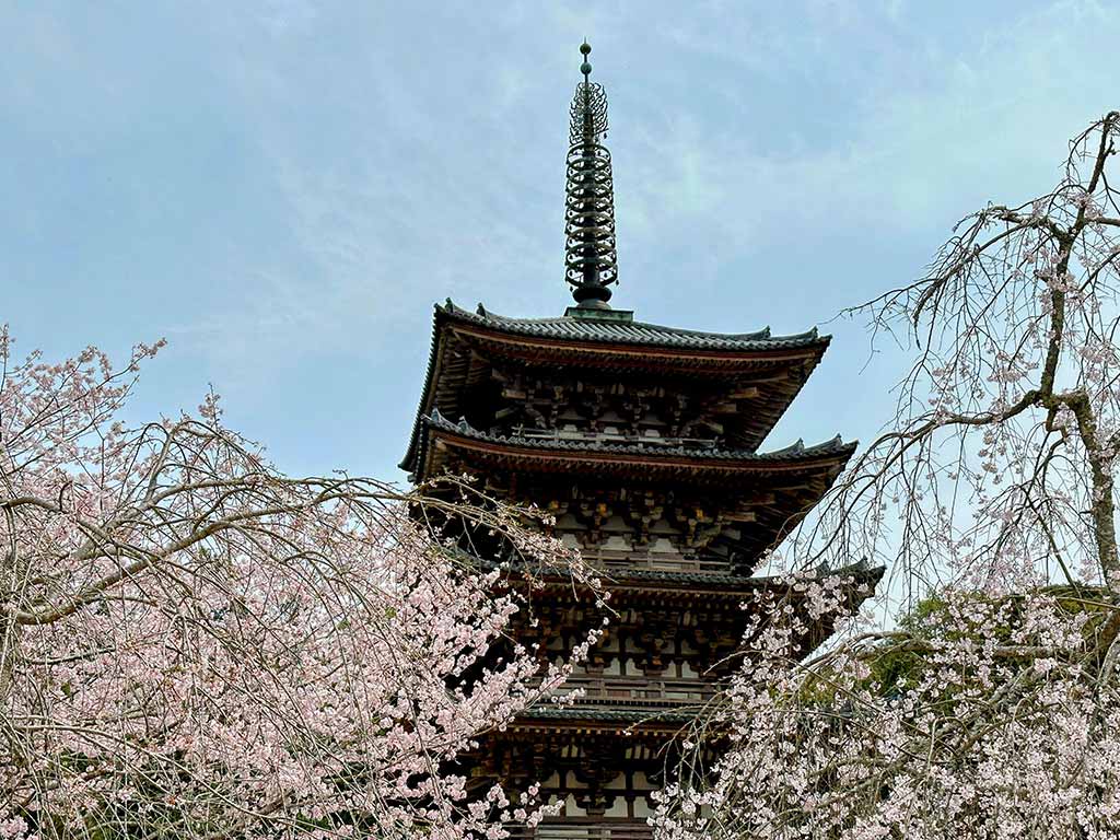 醍醐寺