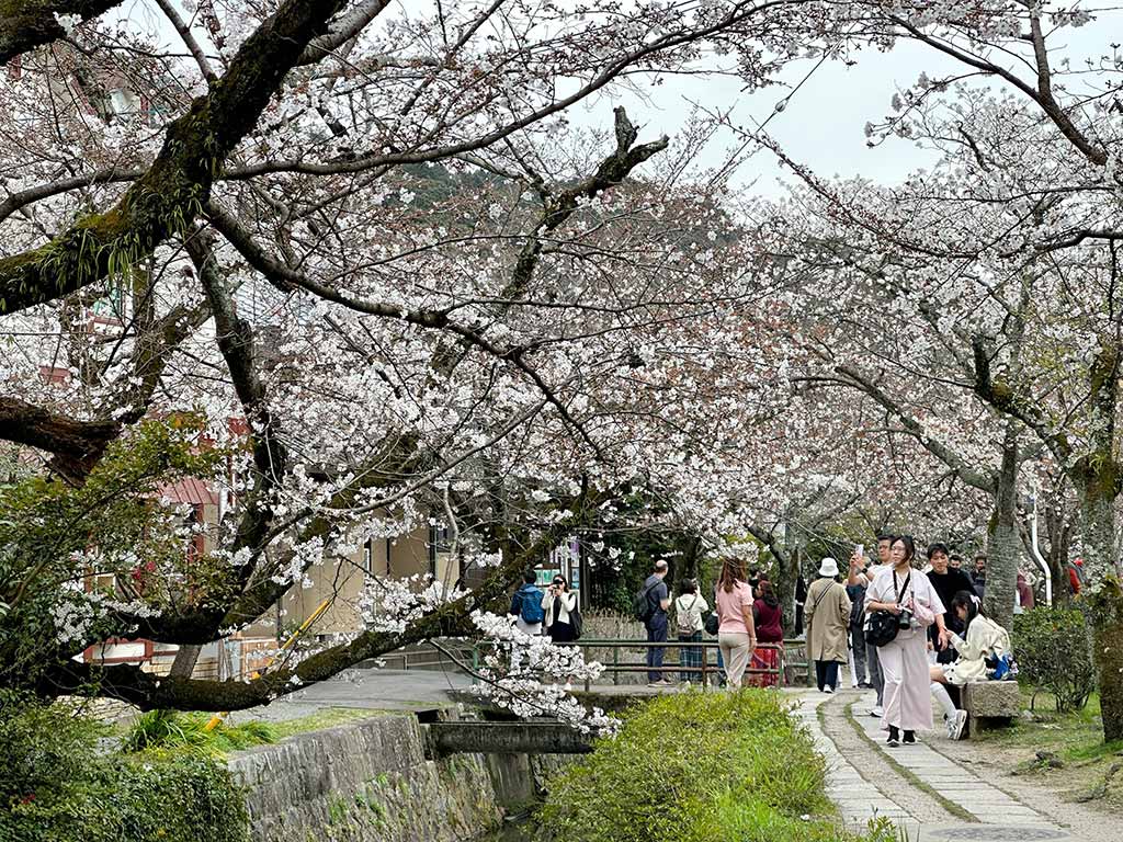 哲學之道