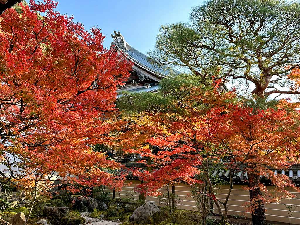 常寂光寺