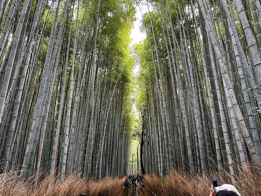 嵐山