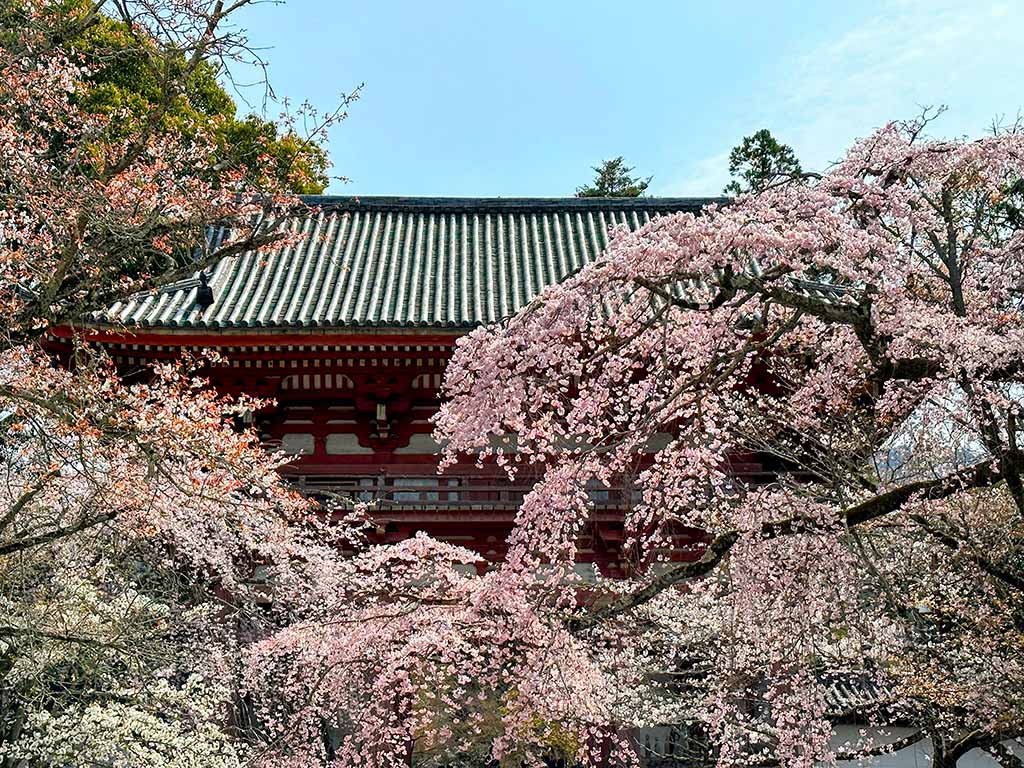 醍醐寺