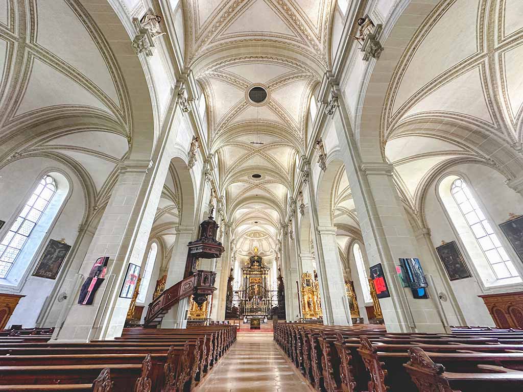 聖萊奧德伽爾教堂（Hofkirche-St.-Leodegar）