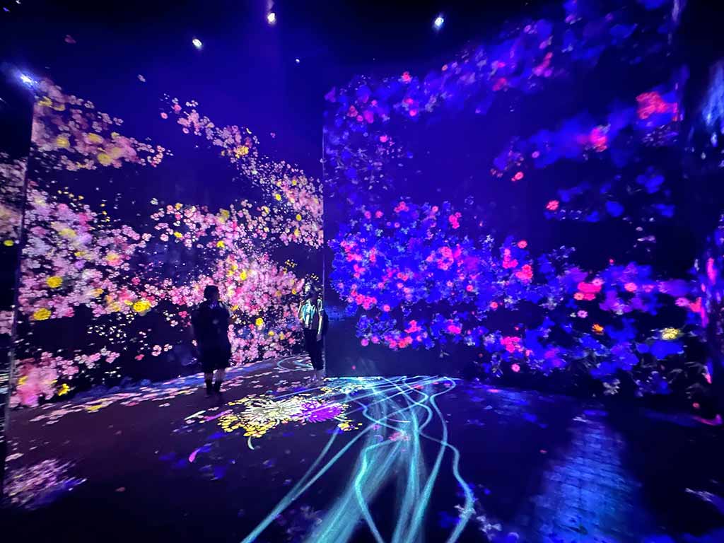 teamLab-Bordless