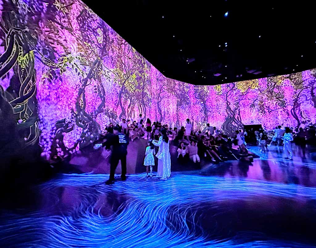 teamLab-Bordless