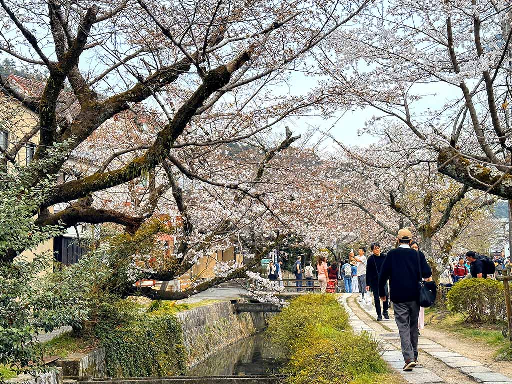 哲學之道