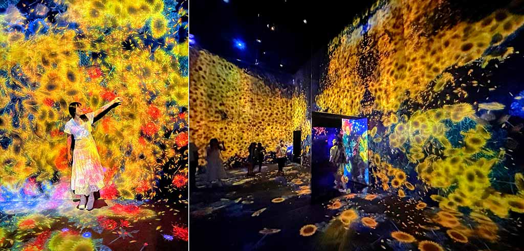 teamLab-Borderless