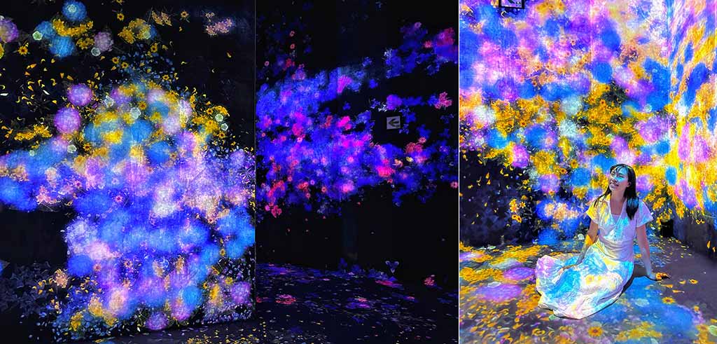 teamLab-Borderless