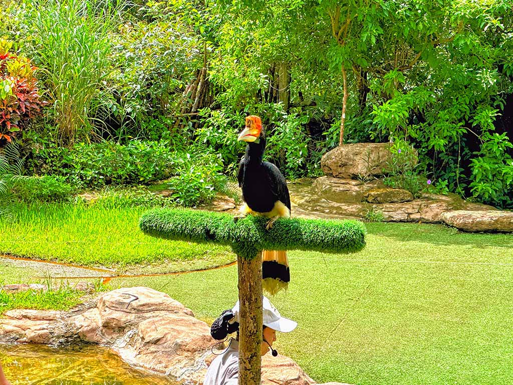 珍珠野生動物園