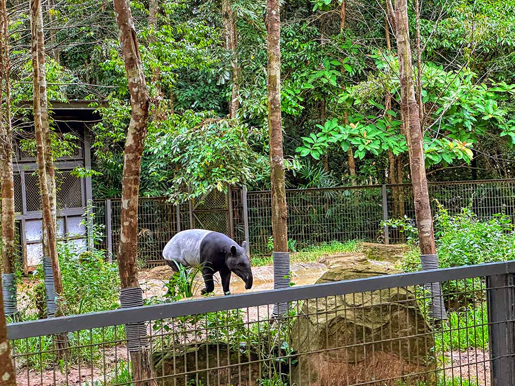 珍珠野生動物園