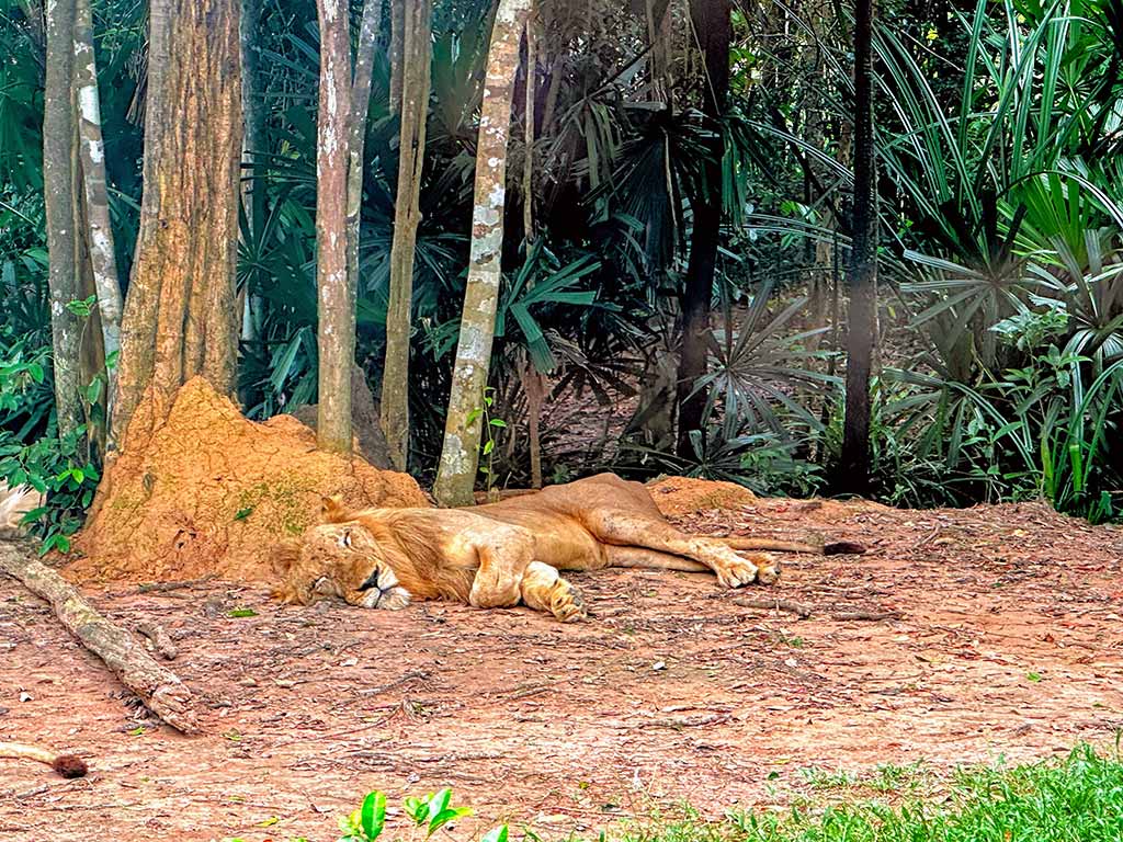 珍珠野生動物園