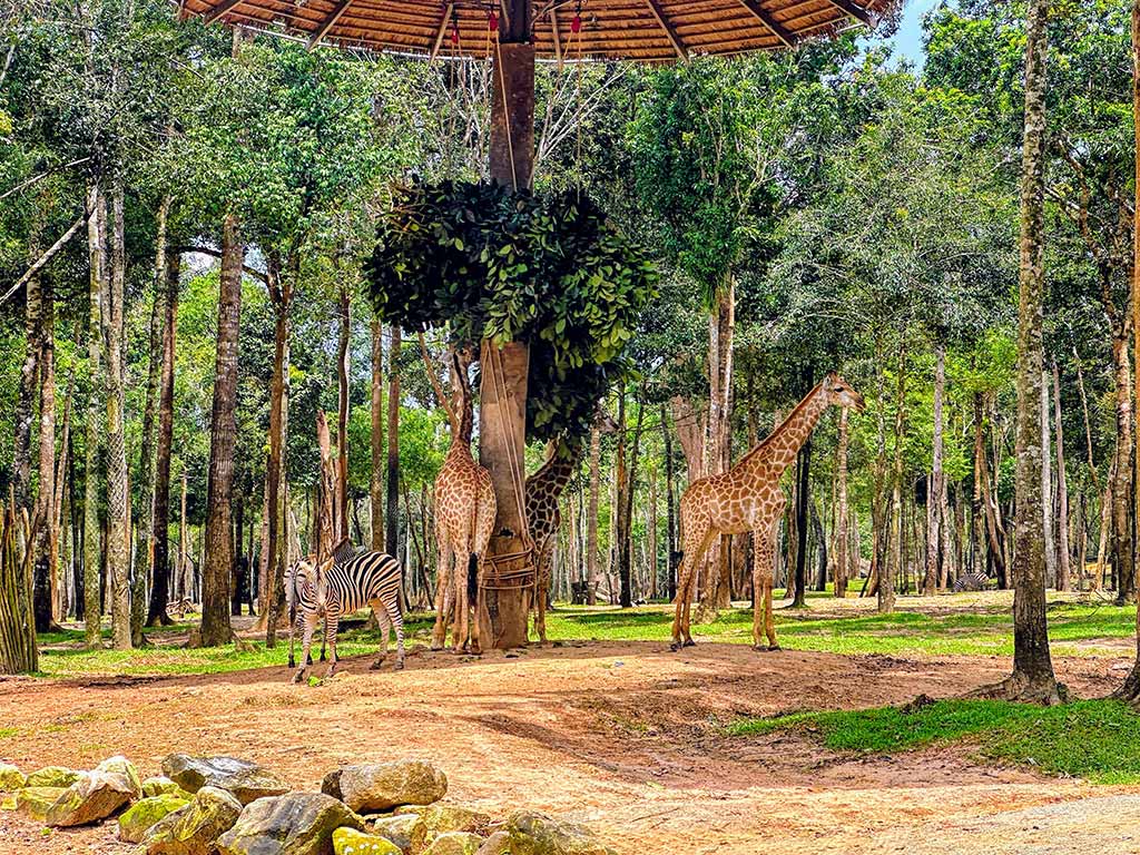 珍珠野生動物園