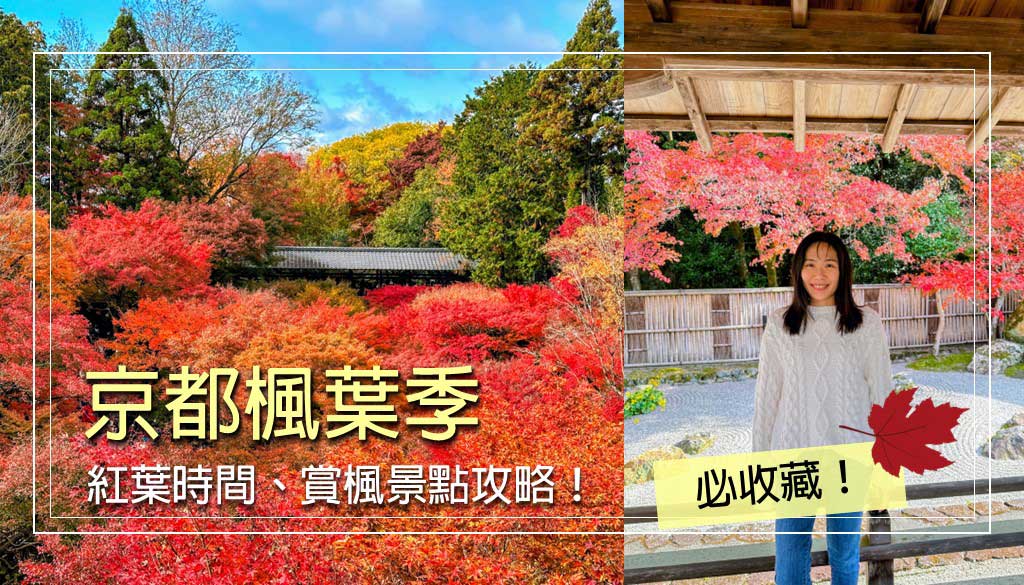 京都楓葉