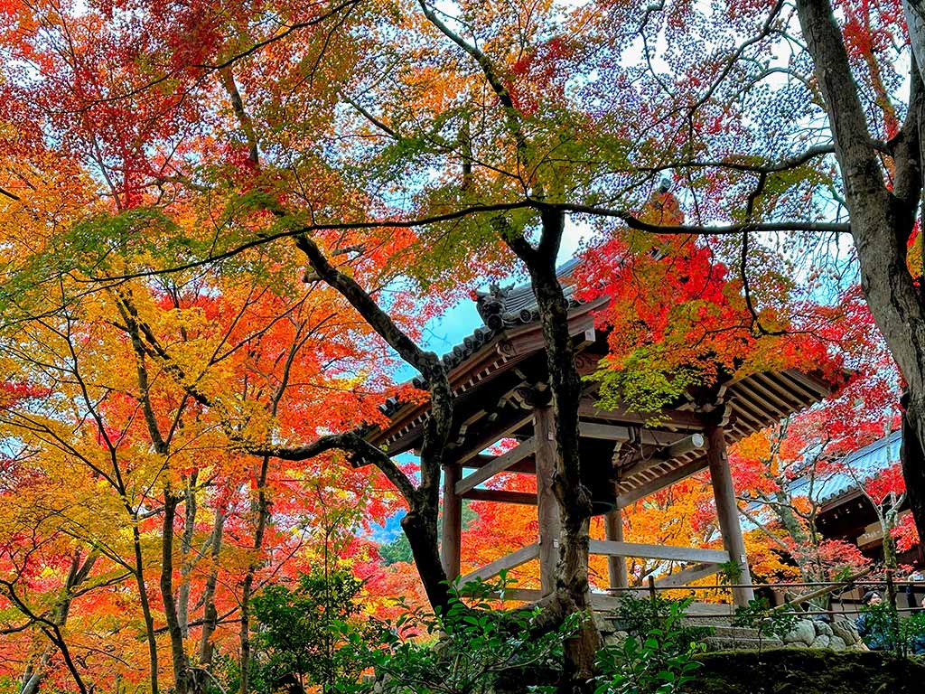 常寂光寺