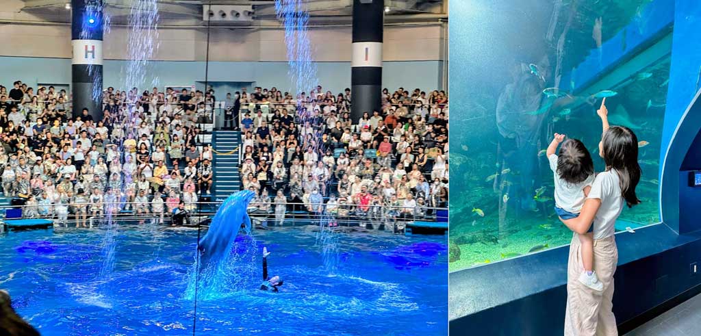 東京品川水族館Maxell-Aqua-Park