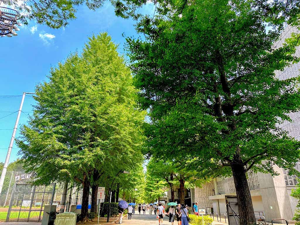 東京景點 