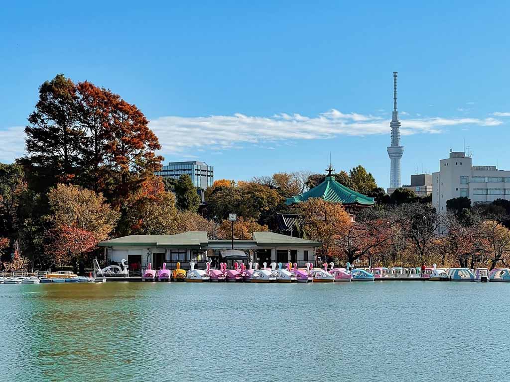 東京景點 