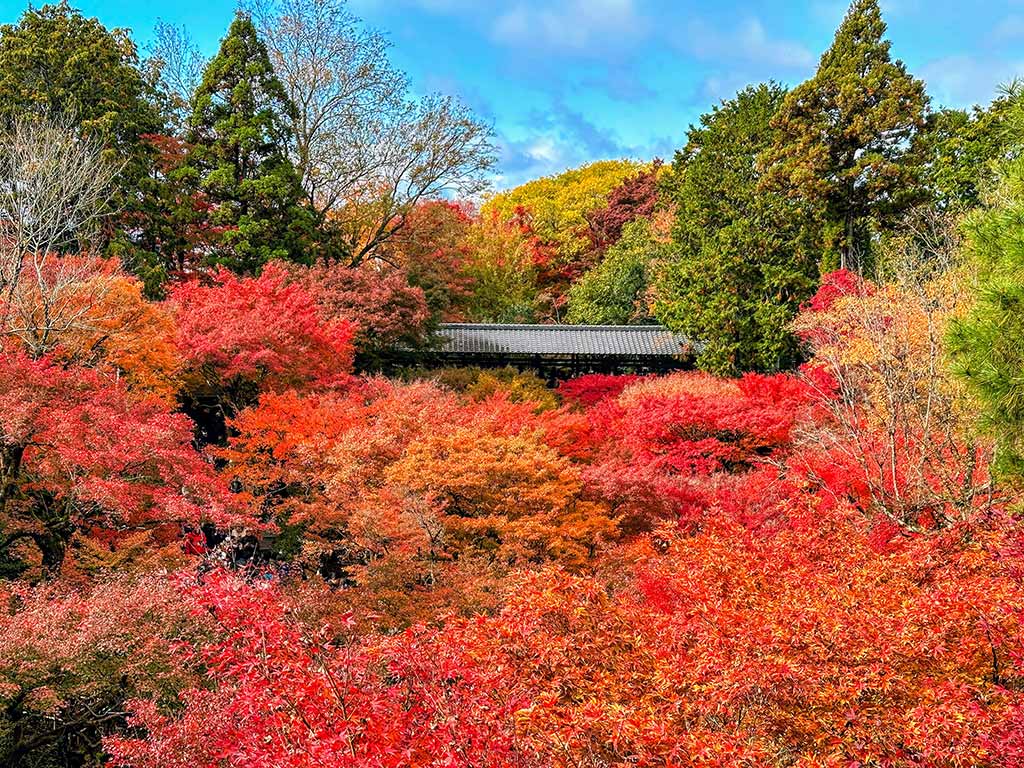 東福寺