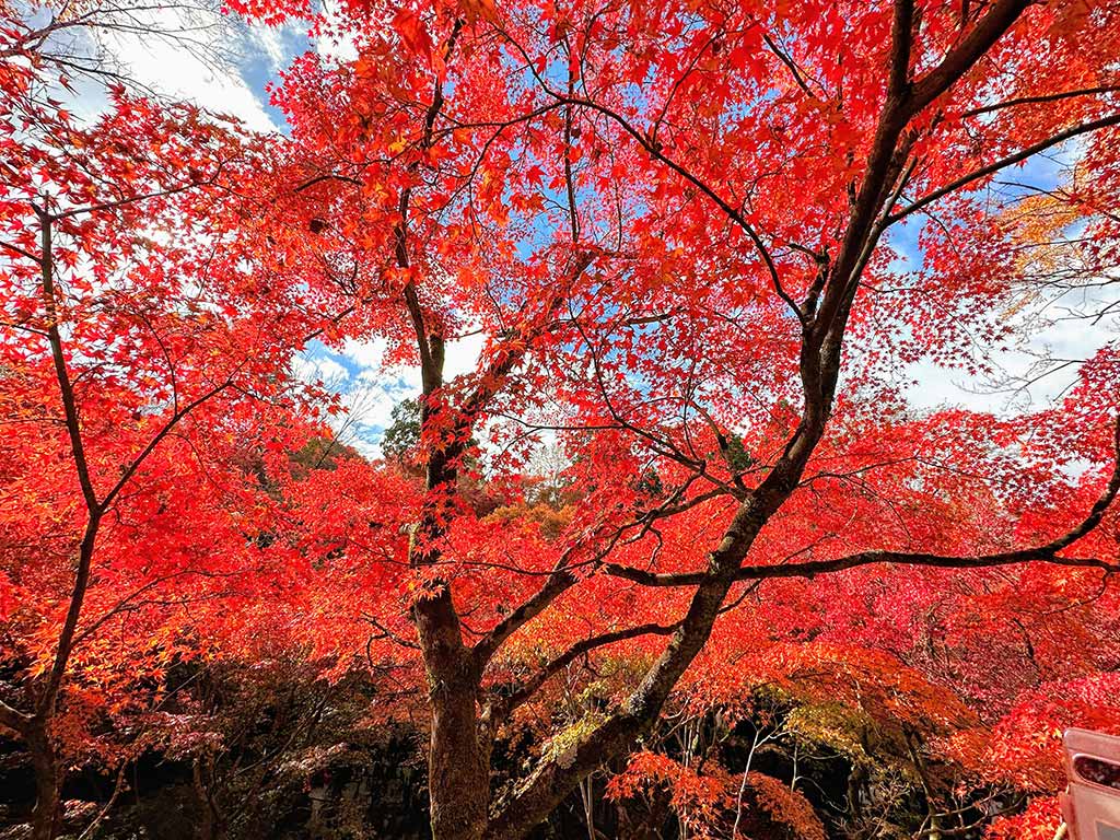 東福寺