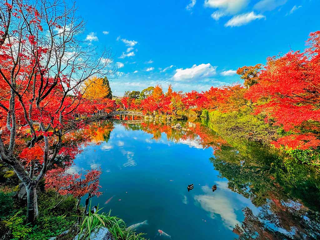 永觀堂