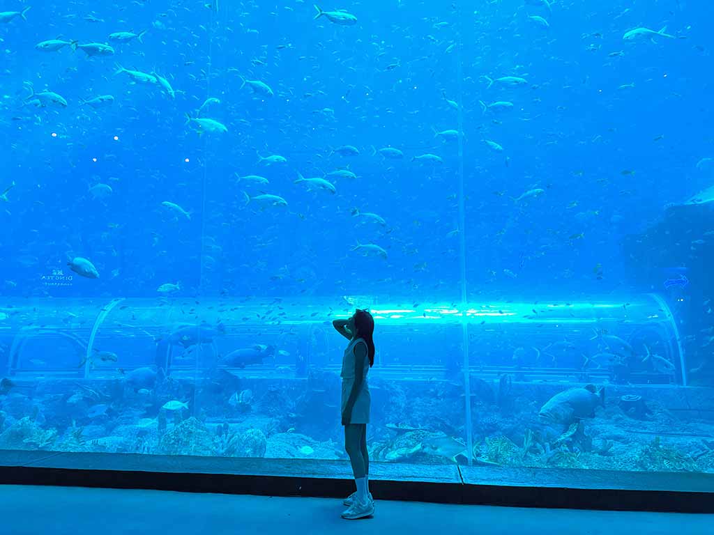 珍珠奇幻樂園