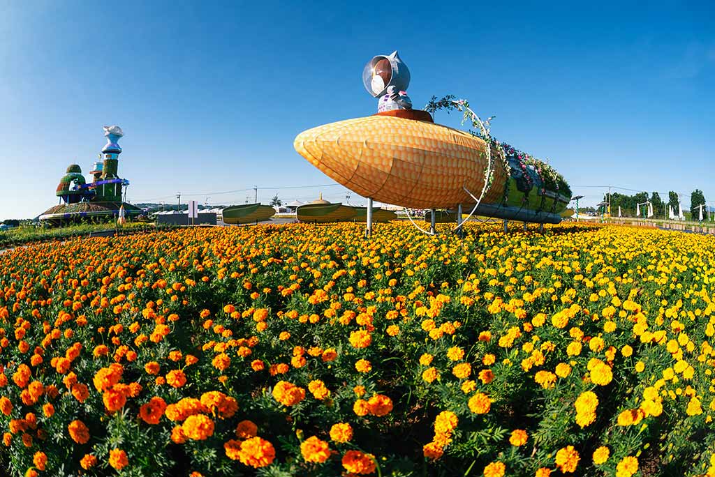 新社花海