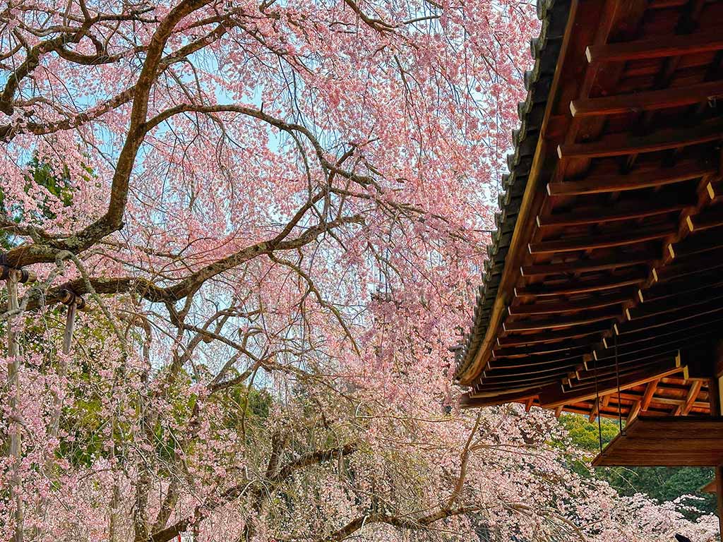 京都景點