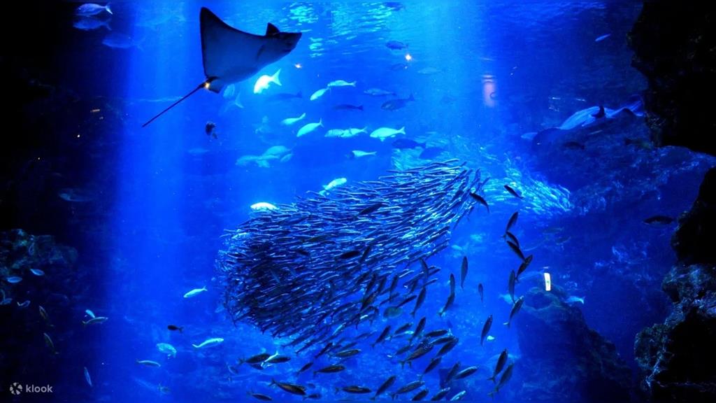 京都水族館
