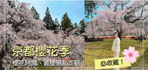 京都櫻花