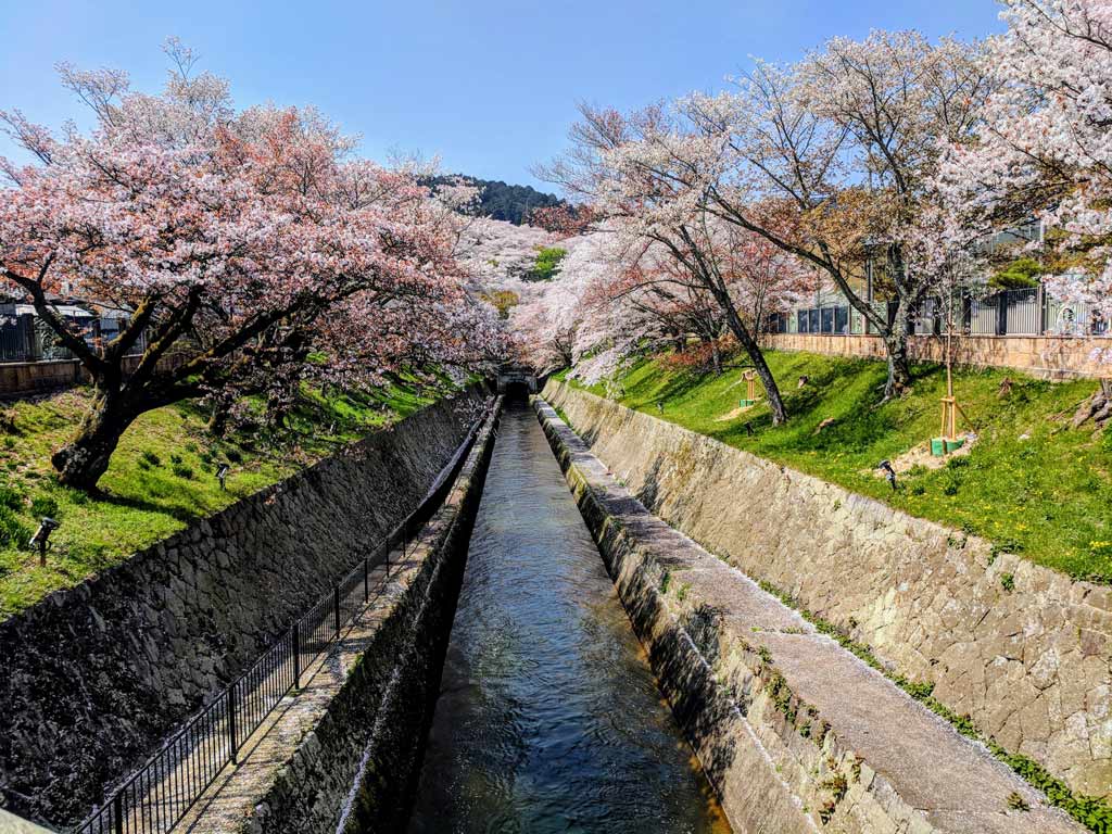 京都櫻花-近郊景點-琵琶湖