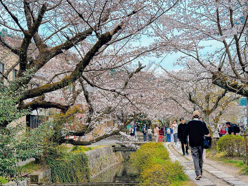 哲學之道