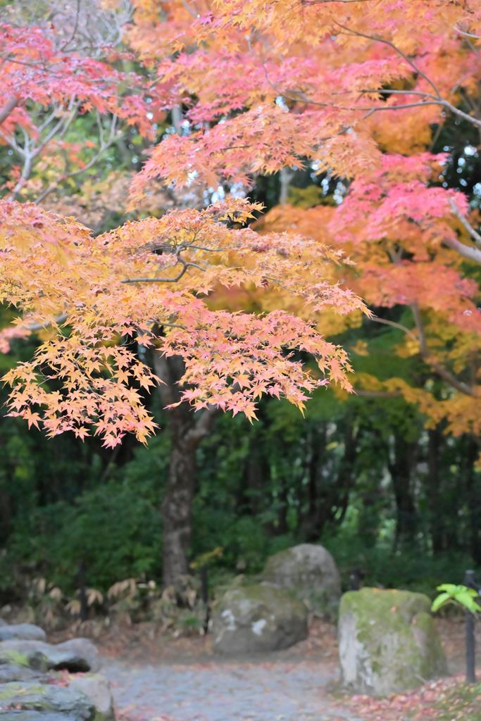 大阪萬博紀念公園