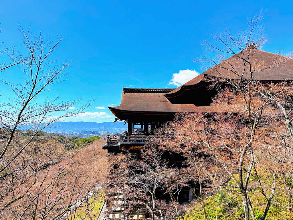 清水寺-櫻花