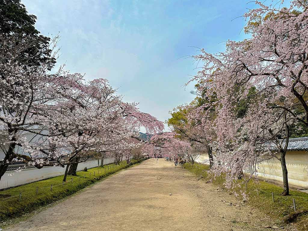 醍醐寺