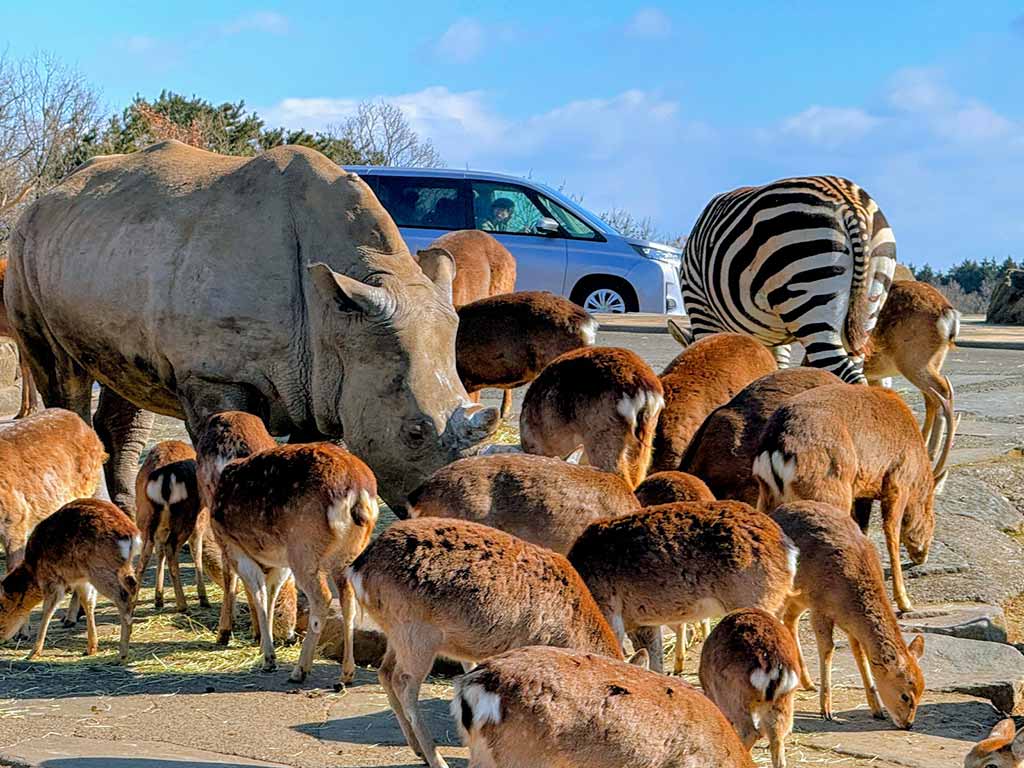 九州自然動物園