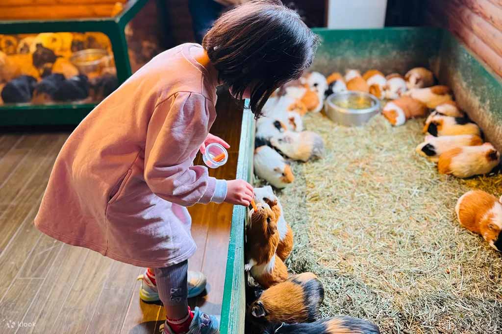 九州自然動物園