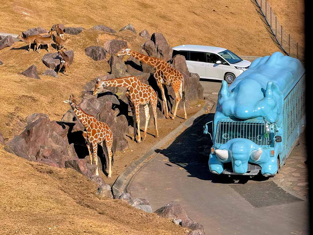 九州自然動物園